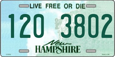 NH license plate 1203802
