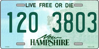 NH license plate 1203803