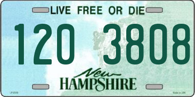 NH license plate 1203808