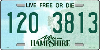 NH license plate 1203813
