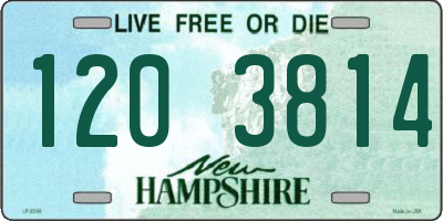 NH license plate 1203814