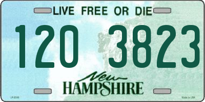 NH license plate 1203823