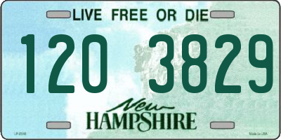 NH license plate 1203829
