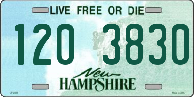 NH license plate 1203830
