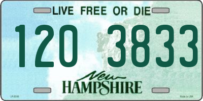 NH license plate 1203833