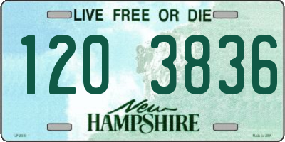 NH license plate 1203836