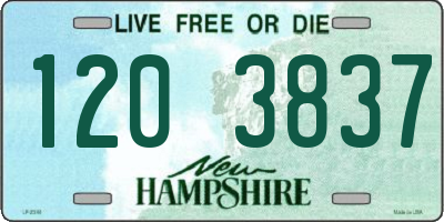 NH license plate 1203837