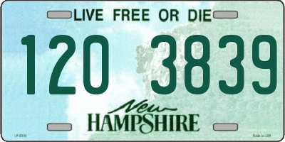 NH license plate 1203839