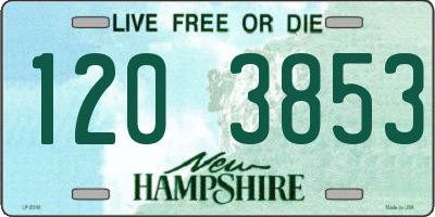 NH license plate 1203853