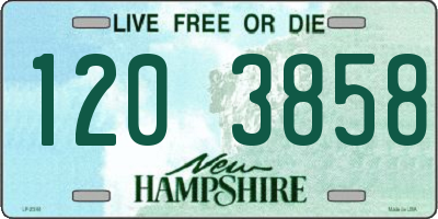 NH license plate 1203858