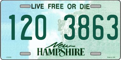 NH license plate 1203863