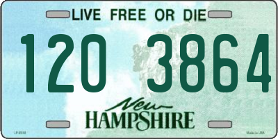 NH license plate 1203864