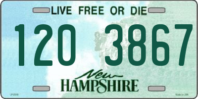 NH license plate 1203867