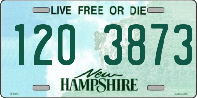 NH license plate 1203873