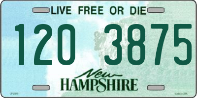 NH license plate 1203875