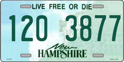 NH license plate 1203877