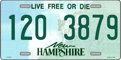 NH license plate 1203879