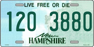NH license plate 1203880