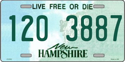 NH license plate 1203887