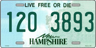 NH license plate 1203893