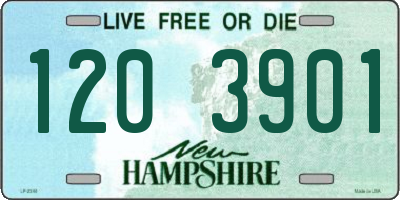 NH license plate 1203901