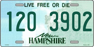 NH license plate 1203902