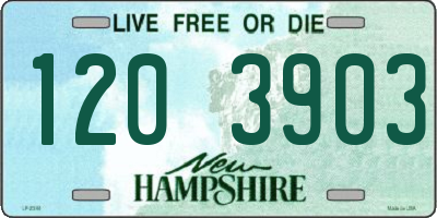 NH license plate 1203903