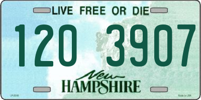 NH license plate 1203907