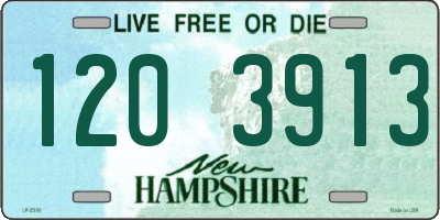 NH license plate 1203913