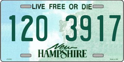 NH license plate 1203917