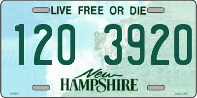 NH license plate 1203920
