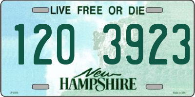 NH license plate 1203923