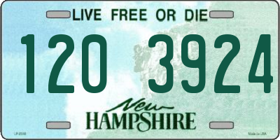 NH license plate 1203924