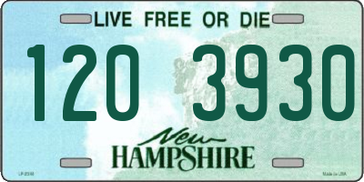 NH license plate 1203930
