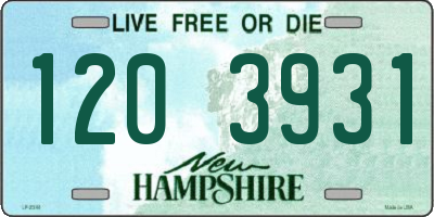 NH license plate 1203931
