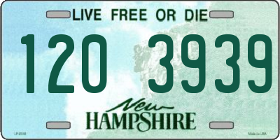 NH license plate 1203939