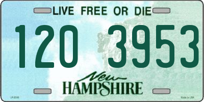 NH license plate 1203953