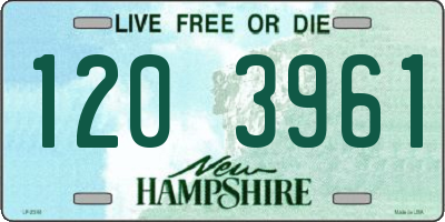 NH license plate 1203961