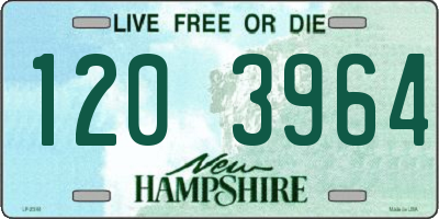 NH license plate 1203964