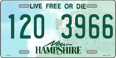 NH license plate 1203966