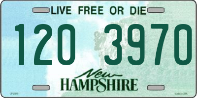 NH license plate 1203970