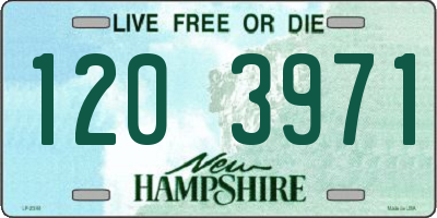 NH license plate 1203971
