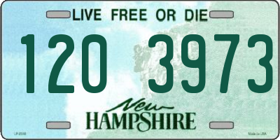 NH license plate 1203973