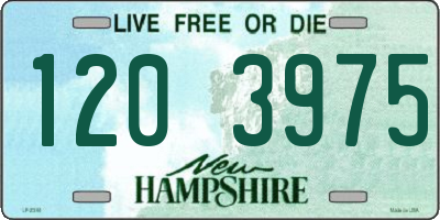 NH license plate 1203975