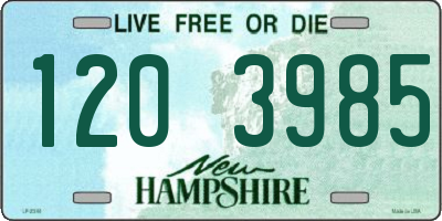 NH license plate 1203985