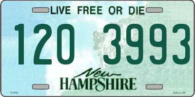 NH license plate 1203993