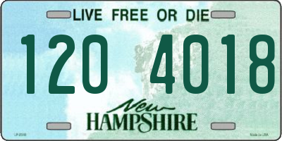 NH license plate 1204018