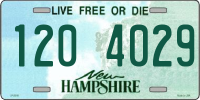NH license plate 1204029