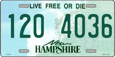 NH license plate 1204036