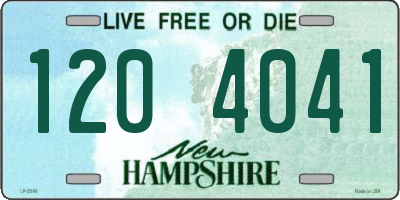 NH license plate 1204041